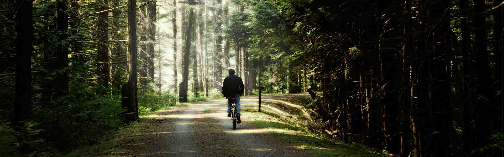 e-Biker im Wald